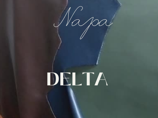 DELTA COLORES