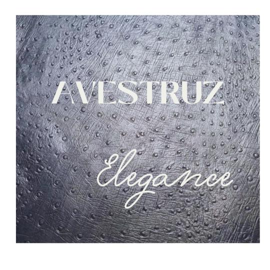 FOTO AVESTRUZ