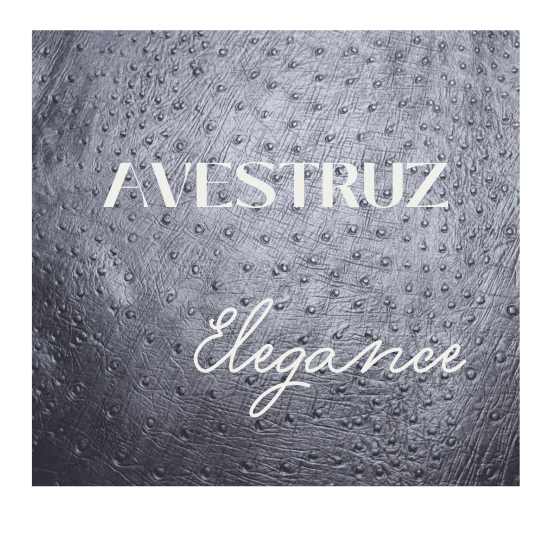 FOTO AVESTRUZ