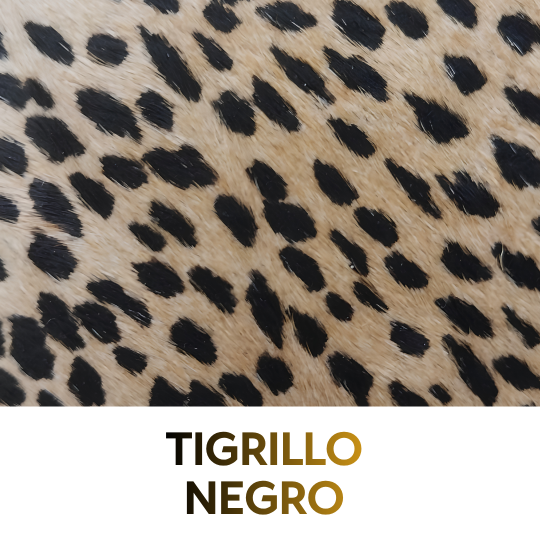 FOTO TIGRILLO NEGRO