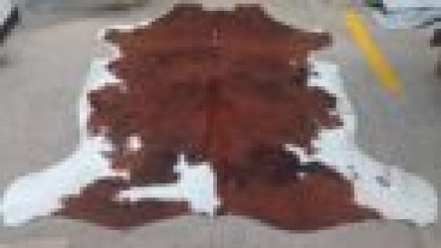 WhatsApp Image 2024-09-30 at 10.38.56 AM