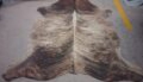 WhatsApp Image 2024-09-30 at 10.40.12 AM