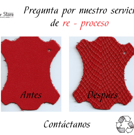 re proceoso